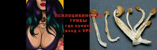 стафф Рославль