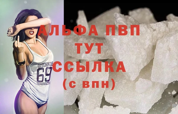 спиды Ростов