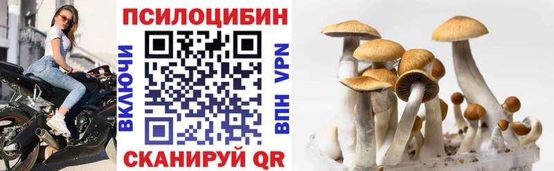 Псилоцибиновые грибы GOLDEN TEACHER  как найти закладки  Партизанск 