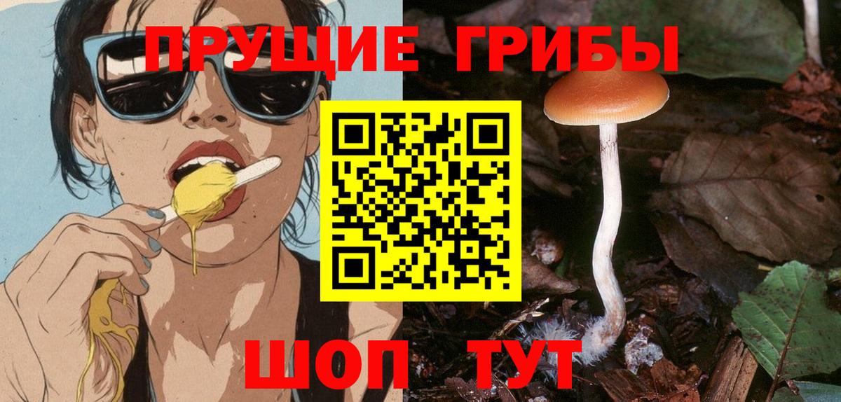 Псилоцибиновые грибы Magic Shrooms  Галлюциногенные грибы Cubensis  Вход с VPN  Партизанск 
